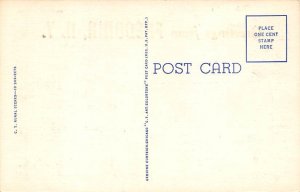 Farmer Fredonia, New York, USA Postcard