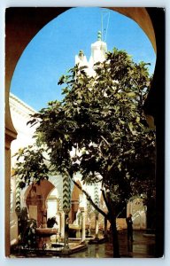 ALGER Grande Mosquee ALGERIA Postcard