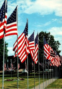 Illinois Macomb Chandler Park Flags Of Love