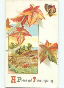 Divided-Back THANKSGIVING SCENE Great Postcard AA0646