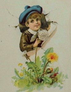 Victorian Trade Card Little Boy Crack In Wall Picking Dandelion Weed *C