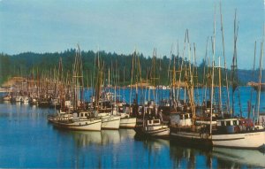 Newport Oregon Yaquina Bay, Boats Vintage Chrome Postcard Unused