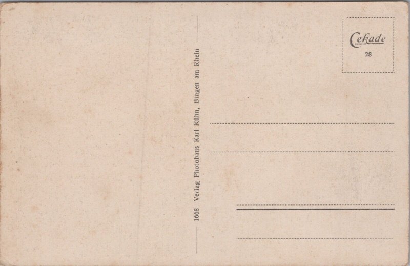 Germany Mäuseturm und Ehrenfels bei Bingen am Rhein Vintage Postcard C308