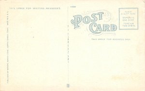 Salt Cedars Trees Corpus Christi Bay Texas 1920c postcard