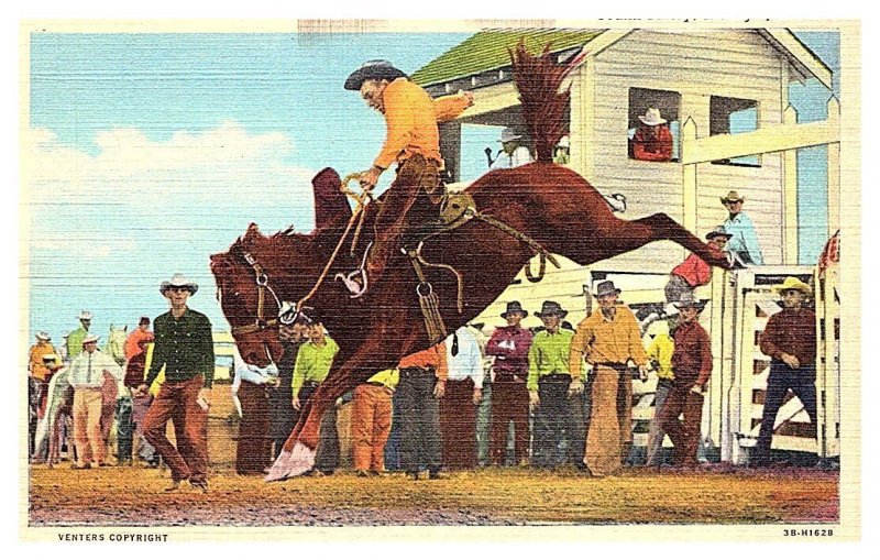 Cowboy Frank Finley, riding Joker