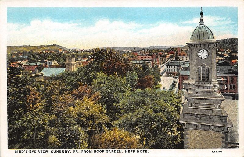 Sunbury Pennsylvania~Bird's Eye View from Roof Garden of Neef Hotel~1920s Pc