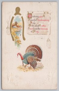 Holiday~Wishing You A Peaceful Thanksgiving~Run Turkey!~1914~Vintage Postcard
