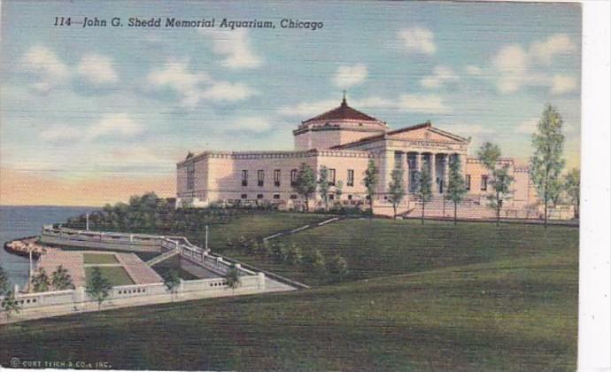 Illinois Chicago John G Schedd Memorial Aquarium 1950 Curteich