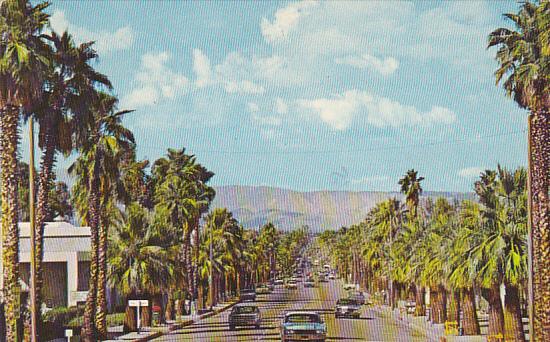 Palm Canyon Drive Palm Springs California 1969