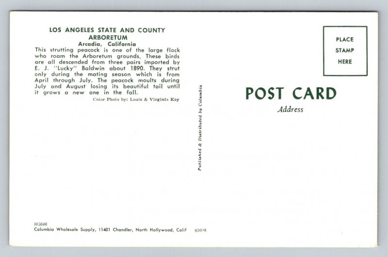 Peacock  Arcadia  California   Postcard