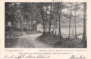 QUAGA LAKE NEW YORK  THE DOCK AT SCOTTS LANDING~LESLIE CARL PUBL POSTCARD 1905