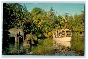 c1960s Elephant Bathing Pool Disneyland Anaheim California CA Postcard