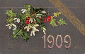 New Year Greetings Year Date 1909 Postcard