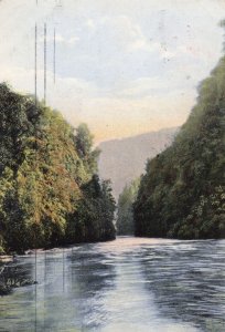 Wanganui River Drop Scene New Zealand 1908 Postcard