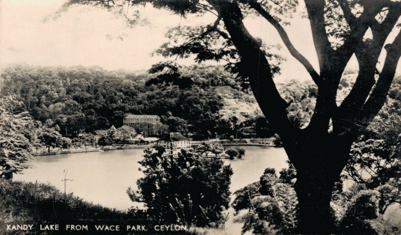 Sri Lanka Ceylon Kandy Lake From Wace Park Ceylon RPPC 06.38 