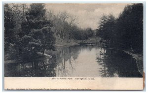c1905 Lake in Forest Park Springfield Massachusetts MA Unposted Postcard 