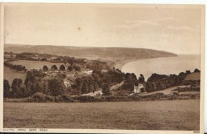 Devon Postcard - Seaton from Beer Road - Photochrom Co Ltd - TZ11163