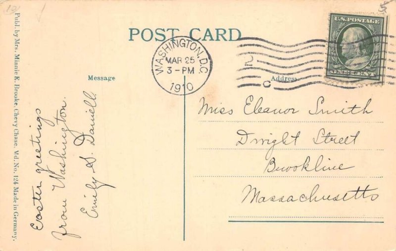 Washington DC Zoo Park Buffalo Bison Vintage Postcard AA110672