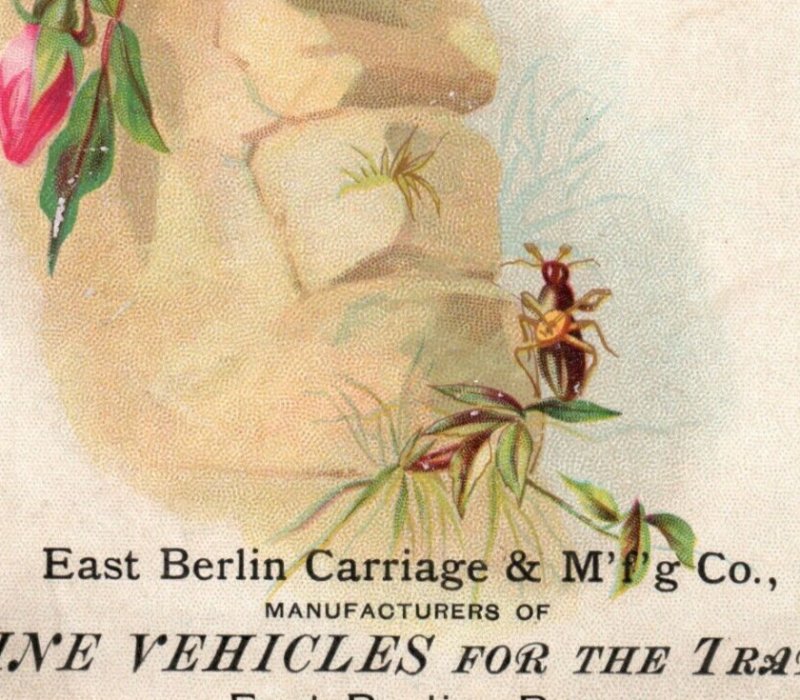 1880s East Berlin Carriage Mfg. Co. Insect Bug Playing Mandolin &E