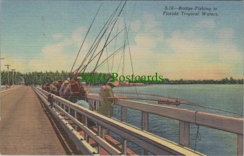 America Postcard - Bridge Fishing in Florida Tropical Waters   RS25205