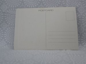 New Zealand postage stamps colour postcard