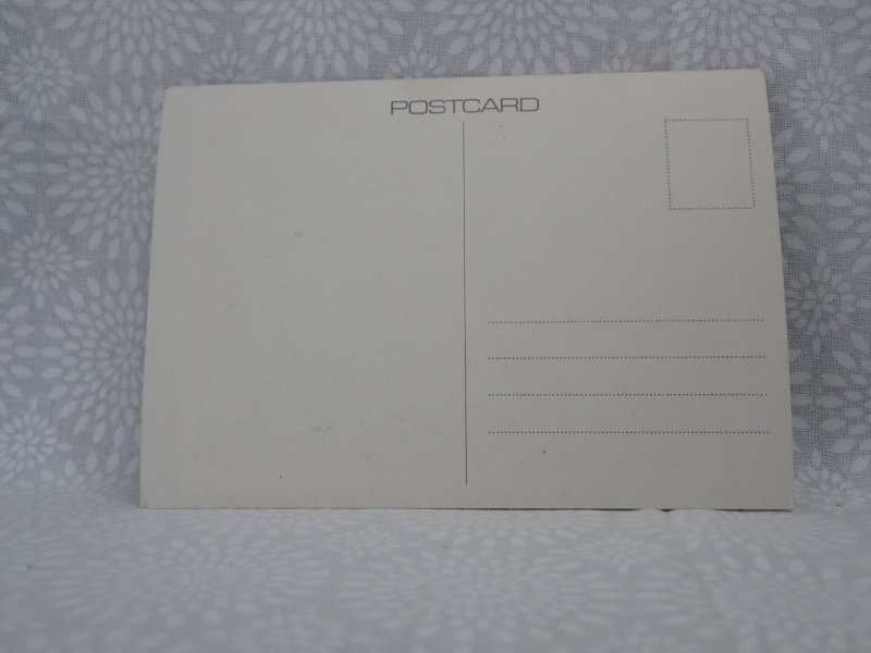 New Zealand postage stamps colour postcard