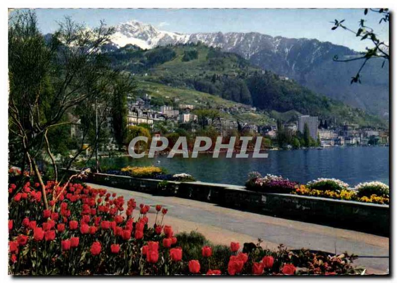 Modern Postcard Montreux Clarens adorned banks