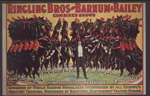 Equine Act,Ringling Bros & Barnum & Bailey Circus Postcard
