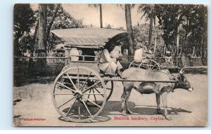 *Sri Lanka Ceylon Bull Cow Cart Carriage Bullock Hackery Vintage Postcard B94