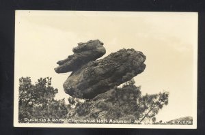 RPPC CHIRICAHUA NATIONAL MONUMENT DUCK ON A ROCK REAL PHOTO POSTCARD