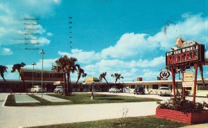 Rip Van Winkle Motel - Daytona Beach, Florida - Vintage Postcard