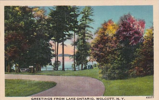 New York Greetings From Lake Ontario Wolcott