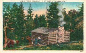 Vintage Postcard 1920's A Typical Cabin Camp In The Heart Of The Mountains APCC