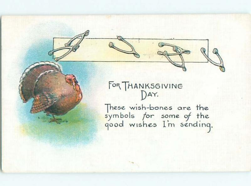 Divided-Back THANKSGIVING SCENE Great Postcard AA0472