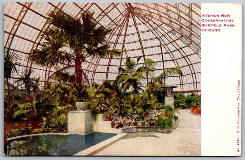 Vtg Chicago Illinois IL Interior New Conservatory Garfield Park 1910s Postcard