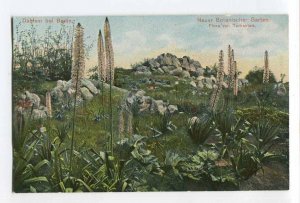 286959 GERMANY BERLIN Dahlem royal botanical garden Vintage postcard