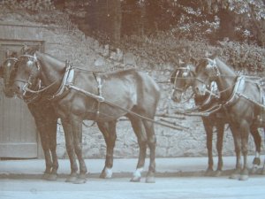Devon Torquay CAWDLE'S COACHING EXCURSION Coach & Four Horse's c1909 RP Postcard