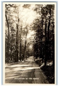 c1940's Boulevard Of The North Trees Iron River Michigan MI RPPC Photo Postcard