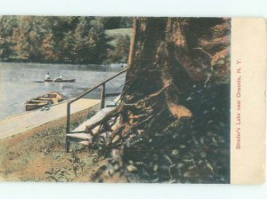 Divided-back LAKE SCENE Oneonta New York NY AE4914