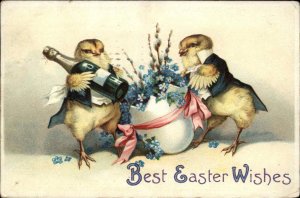 Easter Fantasy Chicks Tuxedos Champagne Unsigned Clapsaddle c1910 Postcard