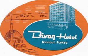 Turkey Istanbul Divan Hotel Light Blue Vintage Luggage Label sk2662