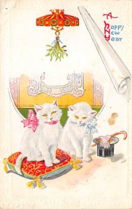 Cat Cats, Kitten postal used unknown 