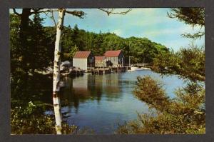 ME Back Cove NEW HARBOR MAINE on Pemaquid Neck Postcard