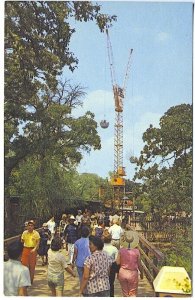 Dallas-Fort Worth TX Amusement Sky Hook Ride Six Flags Postcard