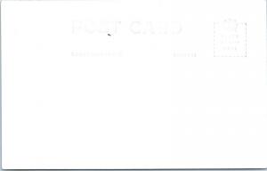 RPPC  LANE'S REDWOOD FLAT, CA   GIFT SHOP In TREE   c1940s Roadside Postcard