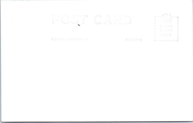 RPPC  LANE'S REDWOOD FLAT, CA   GIFT SHOP In TREE   c1940s Roadside Postcard