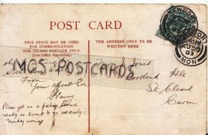 Genealogy Postcard - Jones - Portland House, St Clears, Carmarthen - Ref. R1180