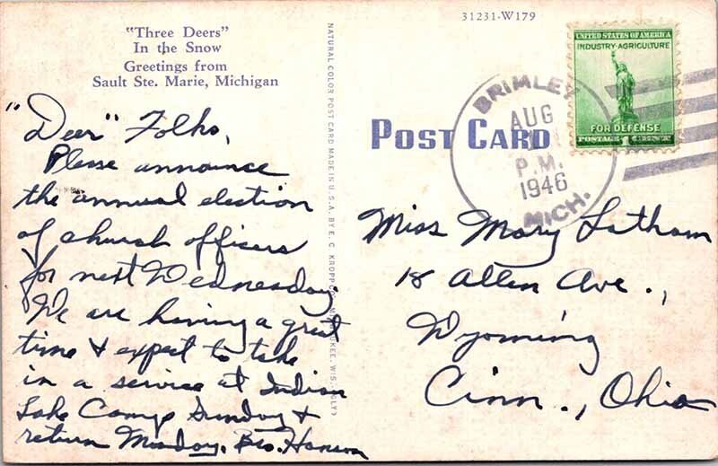 Postcard ANIMAL SCENE Sault Ste. Marie Michigan MI AM2254