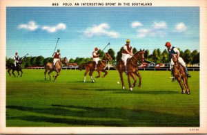 Horses Polo An Interesting Sport In The Southland