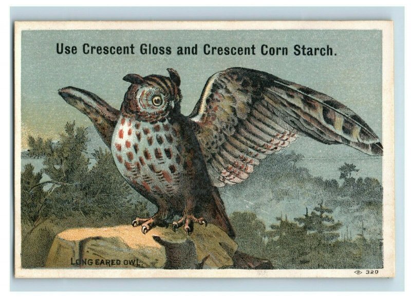 1880s Crescent Corn Starch Long Eared Owl Forest P219